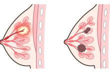 Photo of Новые законы о защите прав детей