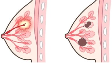 Photo of Новые законы о защите прав детей