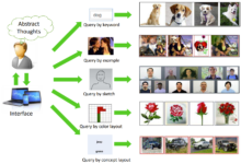 Photo of Современные технологии в поиске похожих фотографий