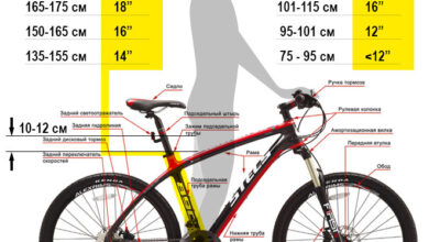 Photo of Основные критерии выбора горного велосипеда для взрослого